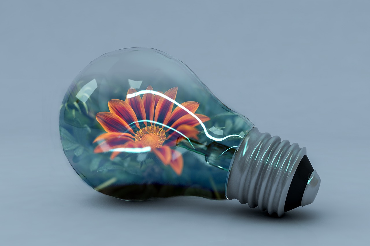 Foto de uma lâmpada com uma flor dentro